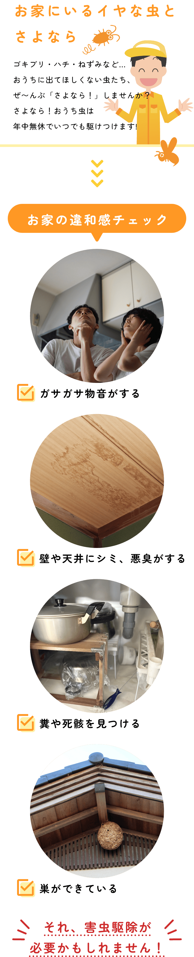 さようなら！おうち虫違和感